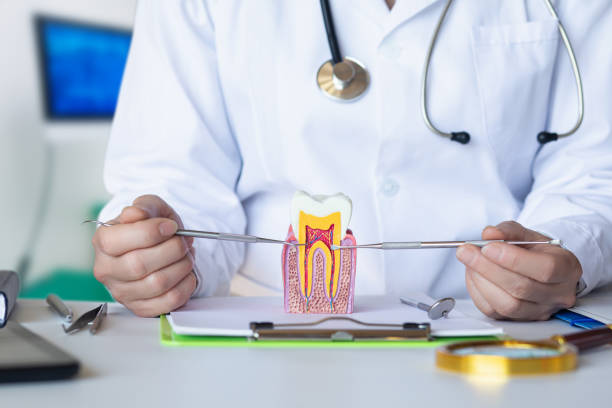 Best Emergency Wisdom Teeth Removal in Assumption, IL